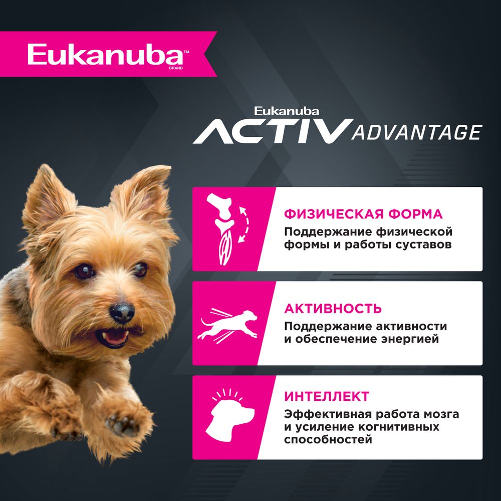 Сухой корм Eukanuba Adult Toy Breed 1+ Years для взрослых собак миниатюрных пород с птицей