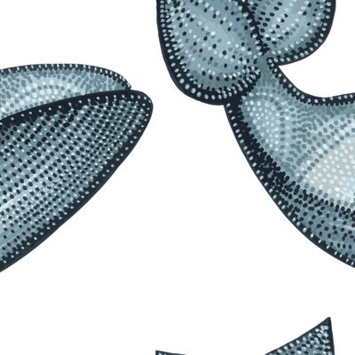 кит бохо стиль