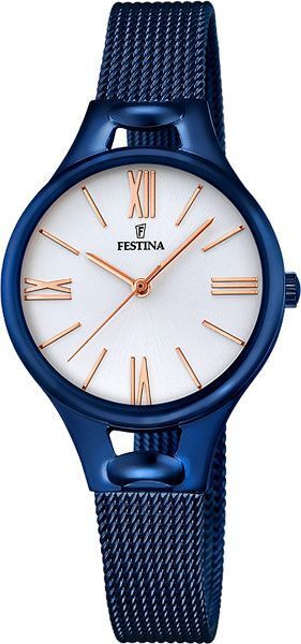 Часы Festina F16953/1