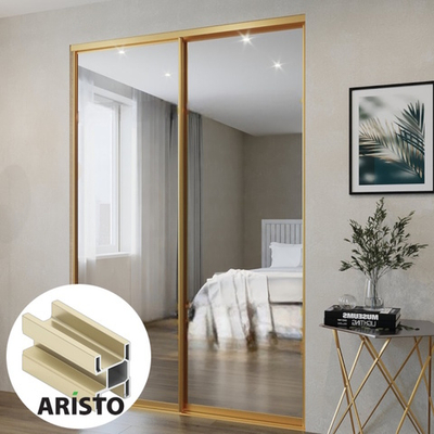 Дверь-купе ARISTO SMART, зеркало, профиль золото матовое