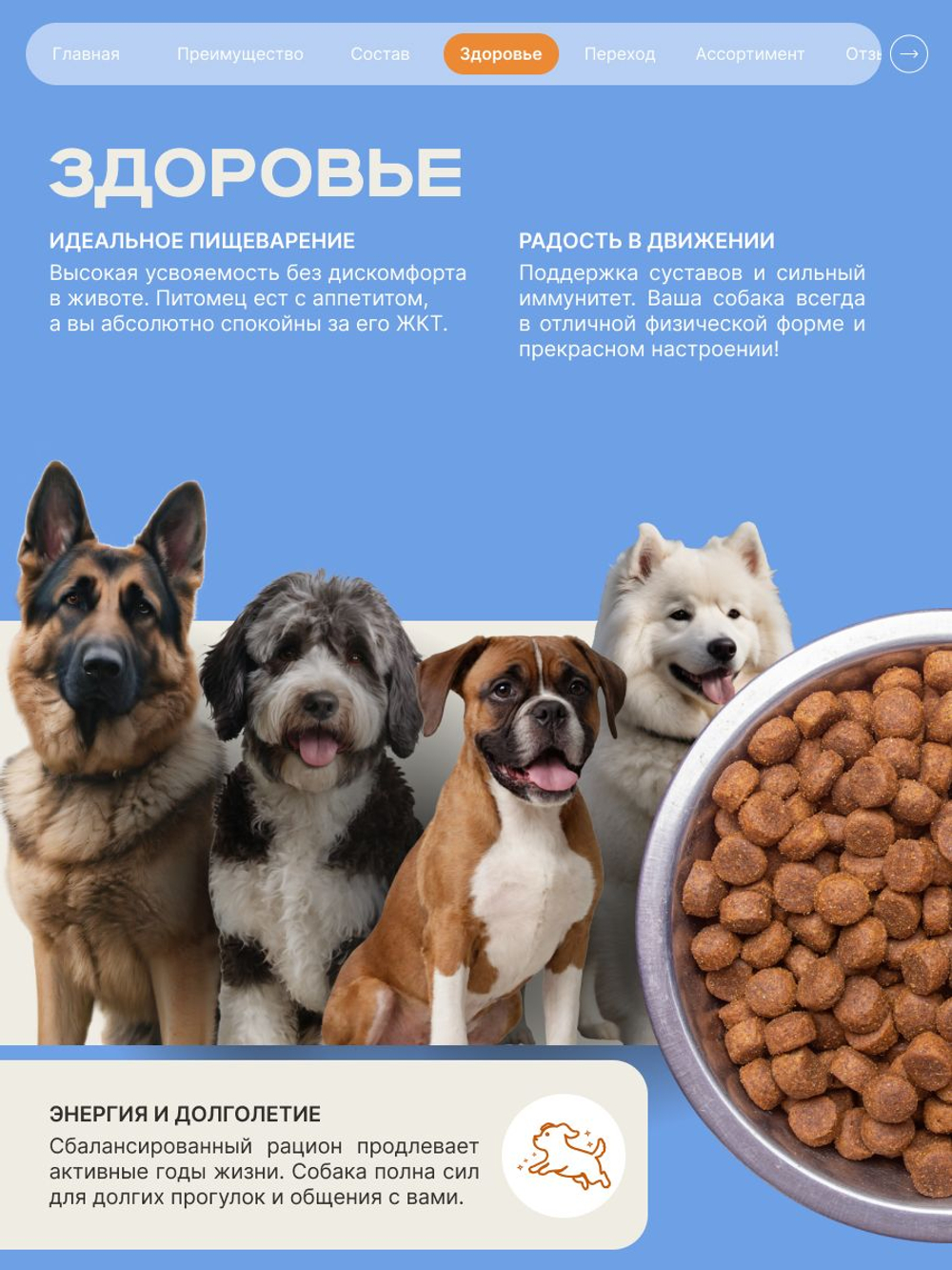 Корм сухой для взрослых собак породы Акита-ину, премиум полнорационный комплекс, с индейкой, 3 кг, QUATTRO