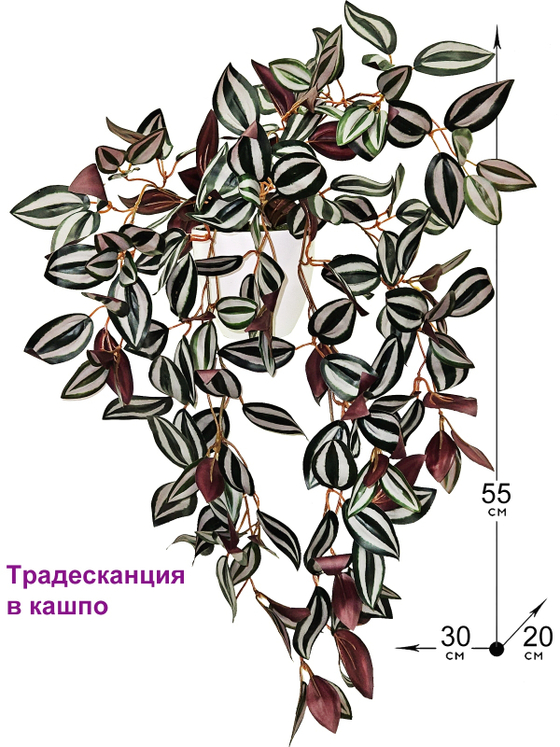 Искусственное ампельное растение Традесканция 55см в кашпо