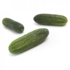 БЕРНШТАЙН F1 семена огурца (Rijk Zwaan | Alexagro)