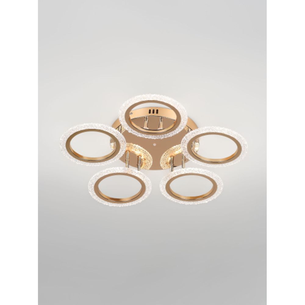 Светильник потолочный светодиодный Rivoli Evlalia 6178-733 LED 70Вт 3000-6000К с пультом | Rivoli