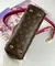 Сумка Louis Vuitton Cluny BB коричневый