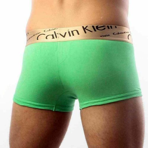 Мужские трусы хипсы зеленые с косой резинкой Calvin Klein Bronze Boxer Italics Green