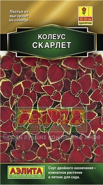 Колеус Скарлет блюме 5шт Аэлита