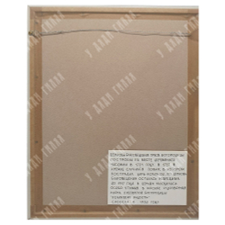 Фотогравюра Церковь Благовещения Пресвятой Богородицы на житном дворе в Кремле. 1883 г.