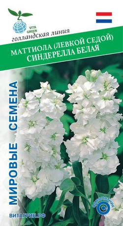 Маттиола Синдерелла Белая10шт Мировые Семена VITA GREEN