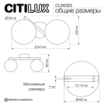 Бра Citilux Ronny CL242323