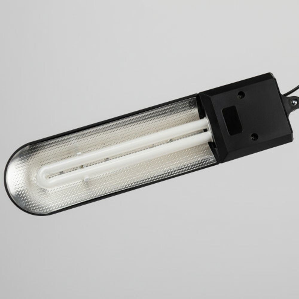 Настольный светильник ЭРА NL-202-G23-11W-BK с лампой PL на струбцине и с основанием черный