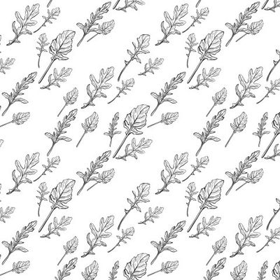 Листья Рукколы. Салат Индау. Травы и специи.