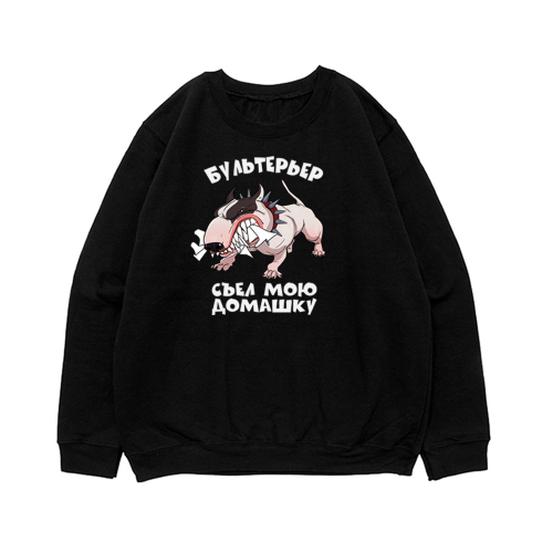 Свитшот "Бультерьер съел домашку"