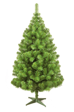 Ель царь елка Алтайская 150 см