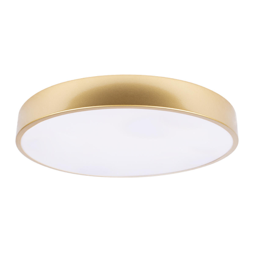 10228/A Потолочный светильник LOFT IT Flims