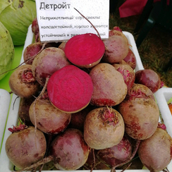 Детройт семена свеклы (Sakata / Саката)