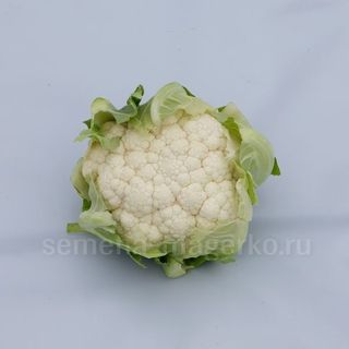 Капуста цветная Гохан F1 2500 (семян)