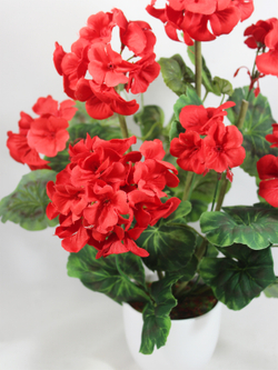 Искусственная Герань красная 30см в кашпо