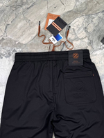 Спортивные штаны Ermenegildo Zegna