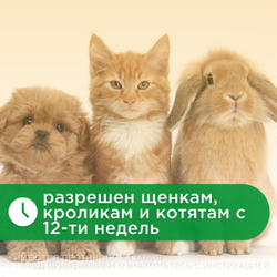 Капли на холку от клещей, блох и комаров для кошек, собак и кроликов до 4 кг Protecto (Neoterica), 2 пипетки. Имидаклоприд/Этофенпрокс/Пирипроксифен