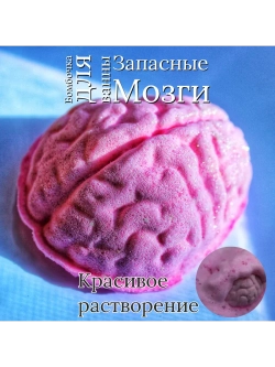 Прикольный подарок Бомбочка " Запасные Мозги"