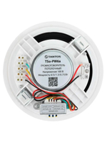 Громкоговоритель TSo-PW6a