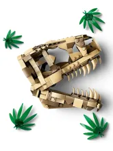 Конструктор Jurassic World 76964 Череп тираннозавра