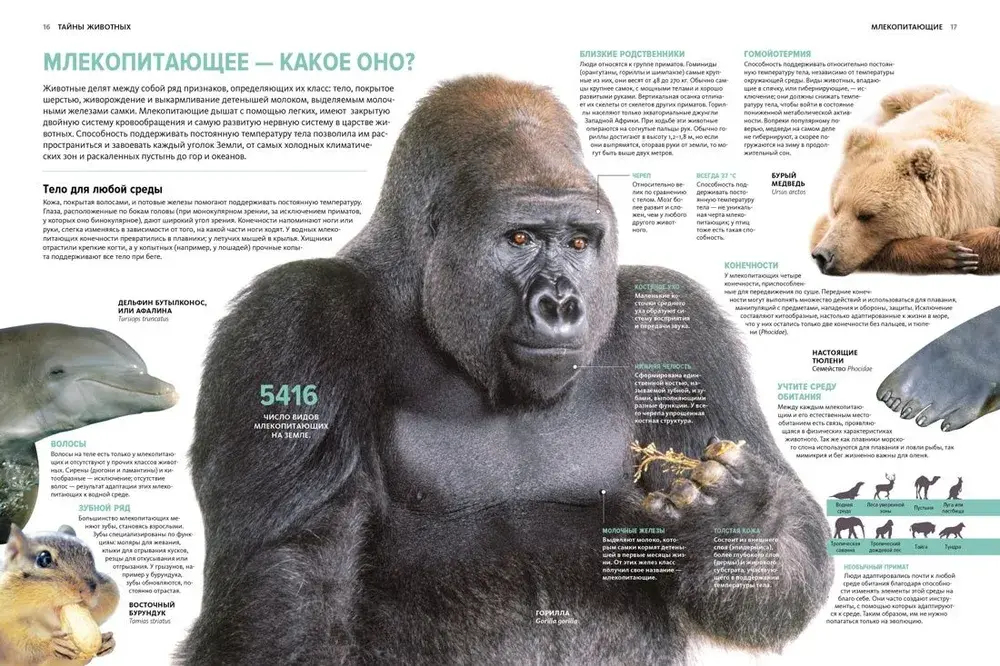 Тайны животных. Большая иллюстрированная энциклопедия