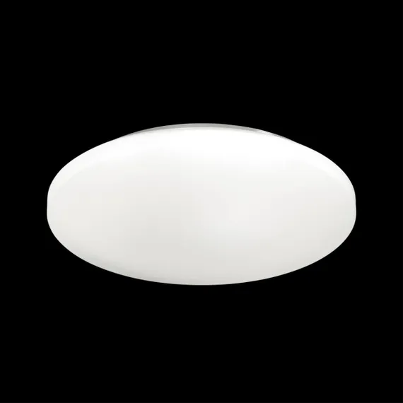 3017/DL PALE SN 218 Светильник пластик/белый LED 48Вт 4000K D400 IP43 SIMPLE