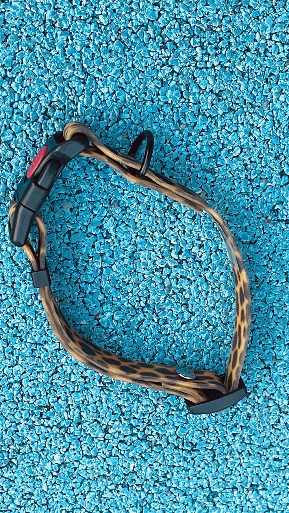 Ошейник леопардовый из Биотана для собак , ширина 20 мм, длина 30-40 см