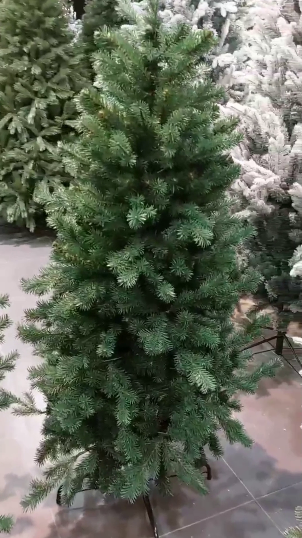 узкая елка "Леман" премиум