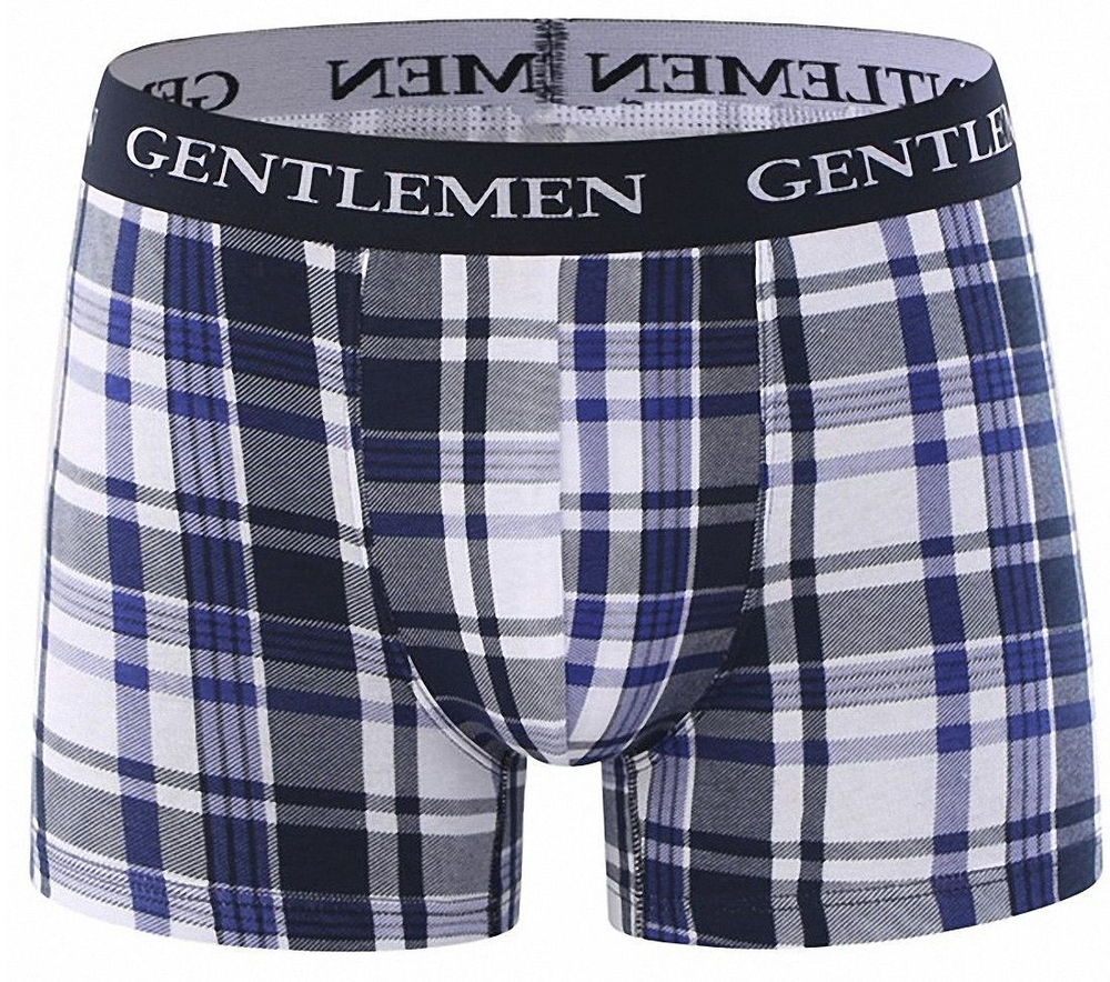 Клетчатые боксеры с широкой брендированной резинкой (Размер: XL) (Цвет: темно-синий)