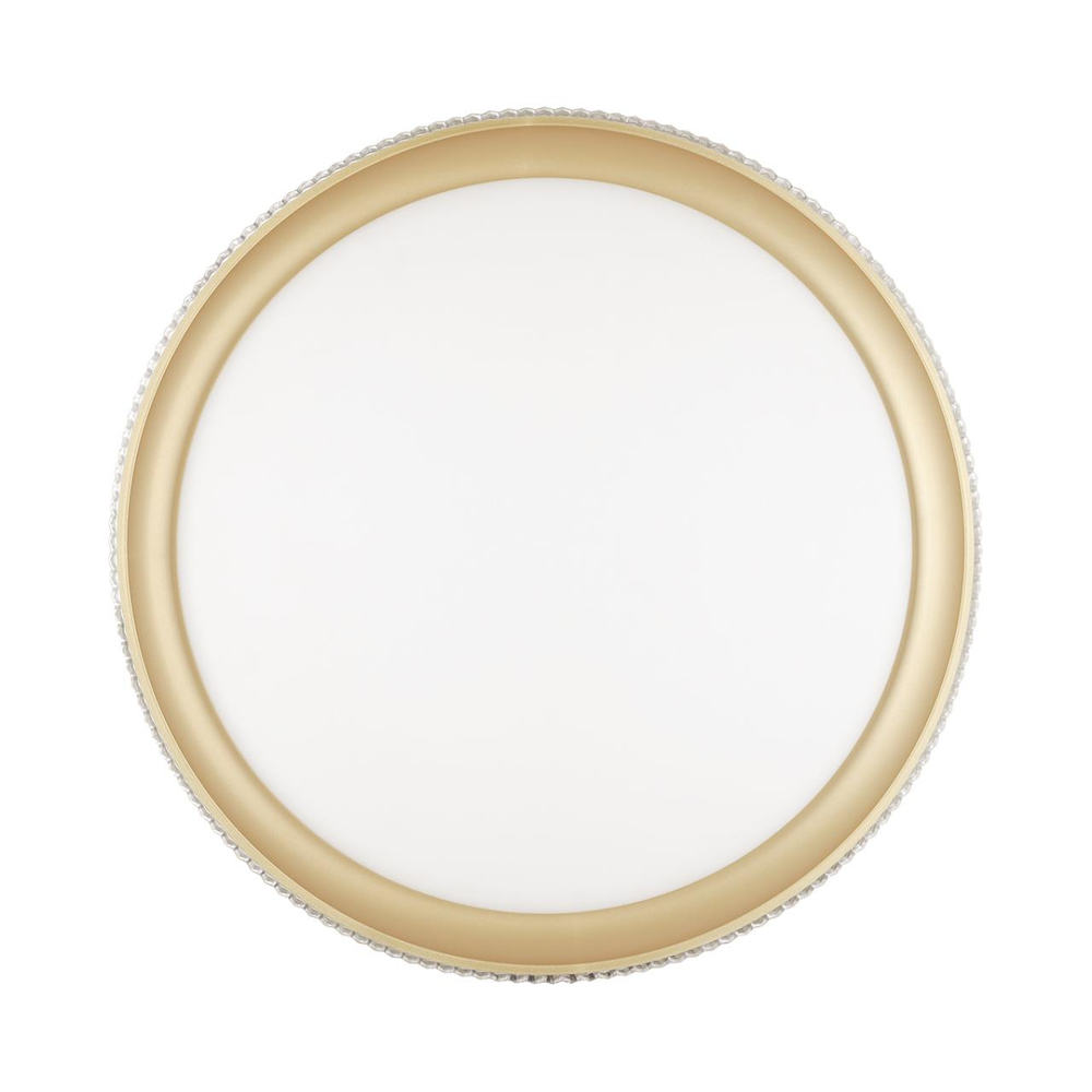 3054/DL PALE SN 000 Светильник пластик/белый/золотистый LED 48Вт 3000-6300K D395 IP43 пульт ДУ SHINY