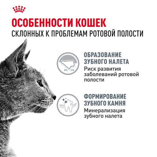 Royal Canin Dental Care корм для взрослых кошек и котов, обеспечивающий гигиену полости рта и снижающий зубной налет