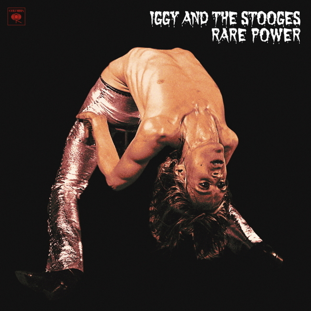 Iggy And The Stooges / Rare Power (LP)