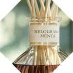 Dr. Vranjes Melograno Menta диффузор (аромат гранат мята)