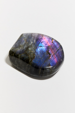 Срез Лабрадора M