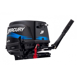 2х-тактный лодочный мотор MERCURY ME 25 M SEAPRO