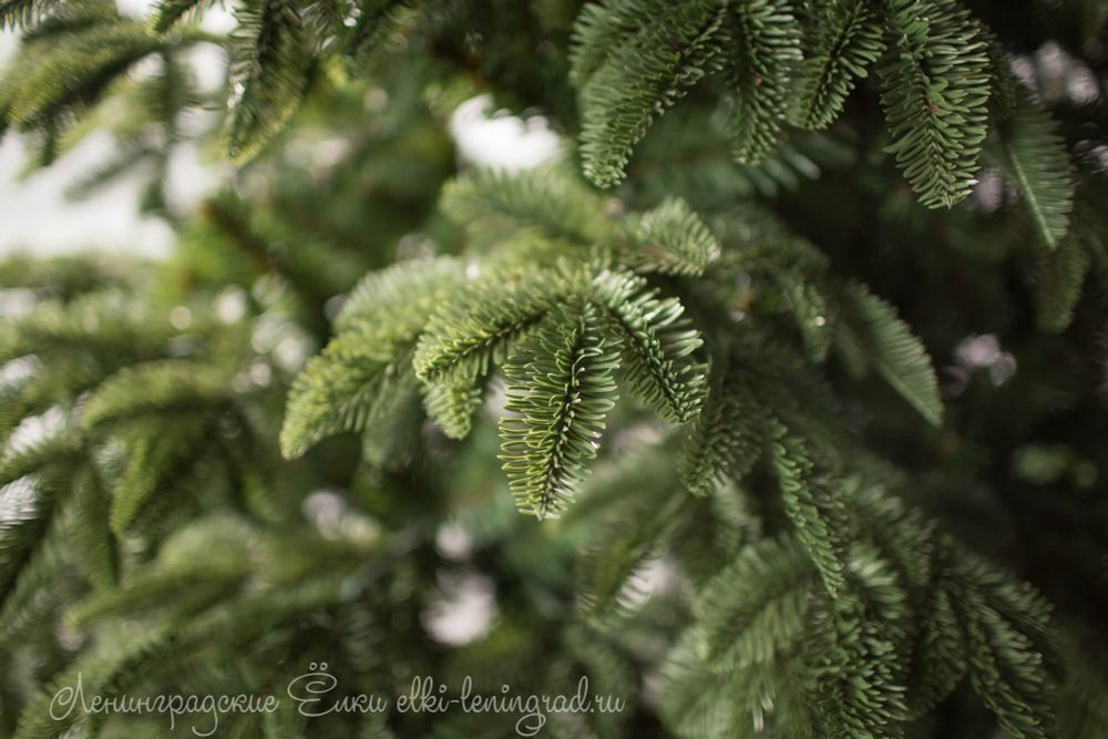 Ель искусственная «ОНТАРИО» (Литая+пвх) высота от 1,5 до 2.4 м