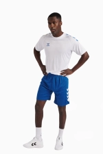 Шорты hummel Core XK Poly