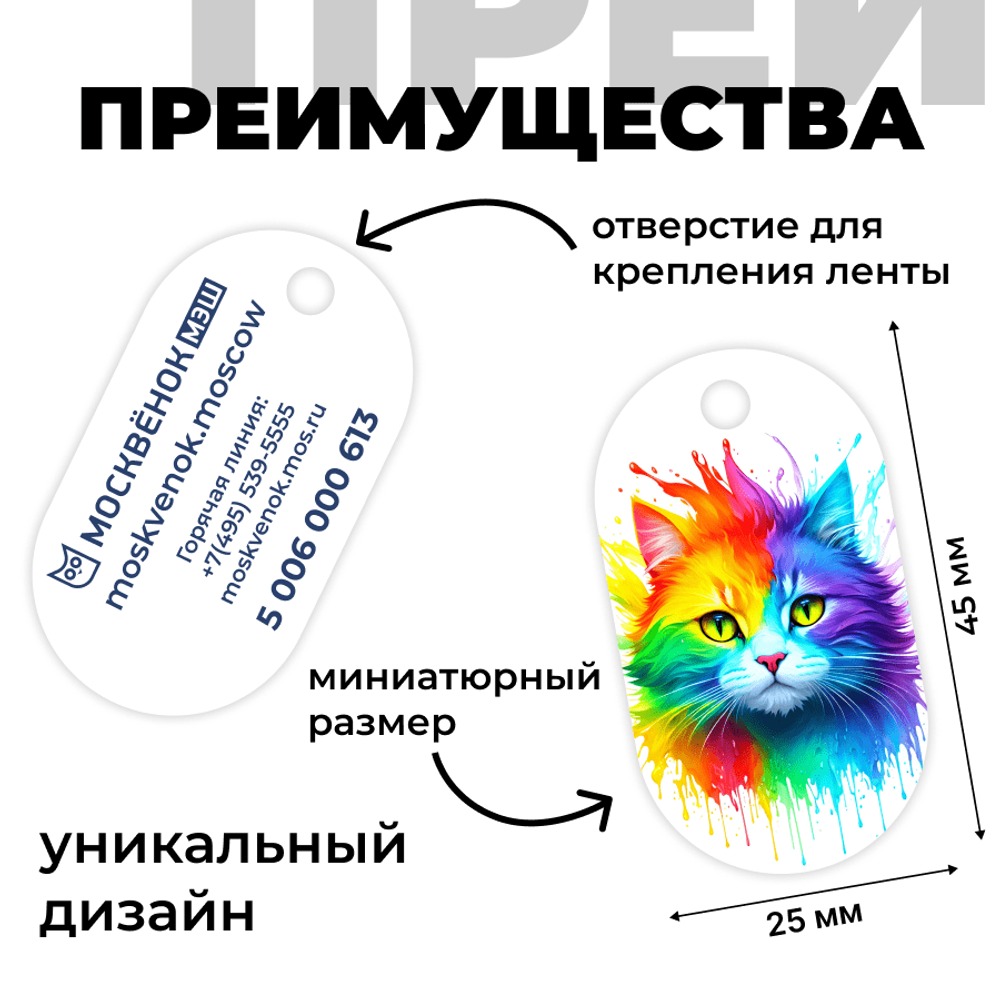 Брелок Москвёнок ART №3 (проход + питание)