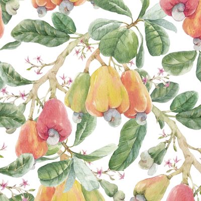 Плоды Кешью. Паттерн с фруктами на белом фоне