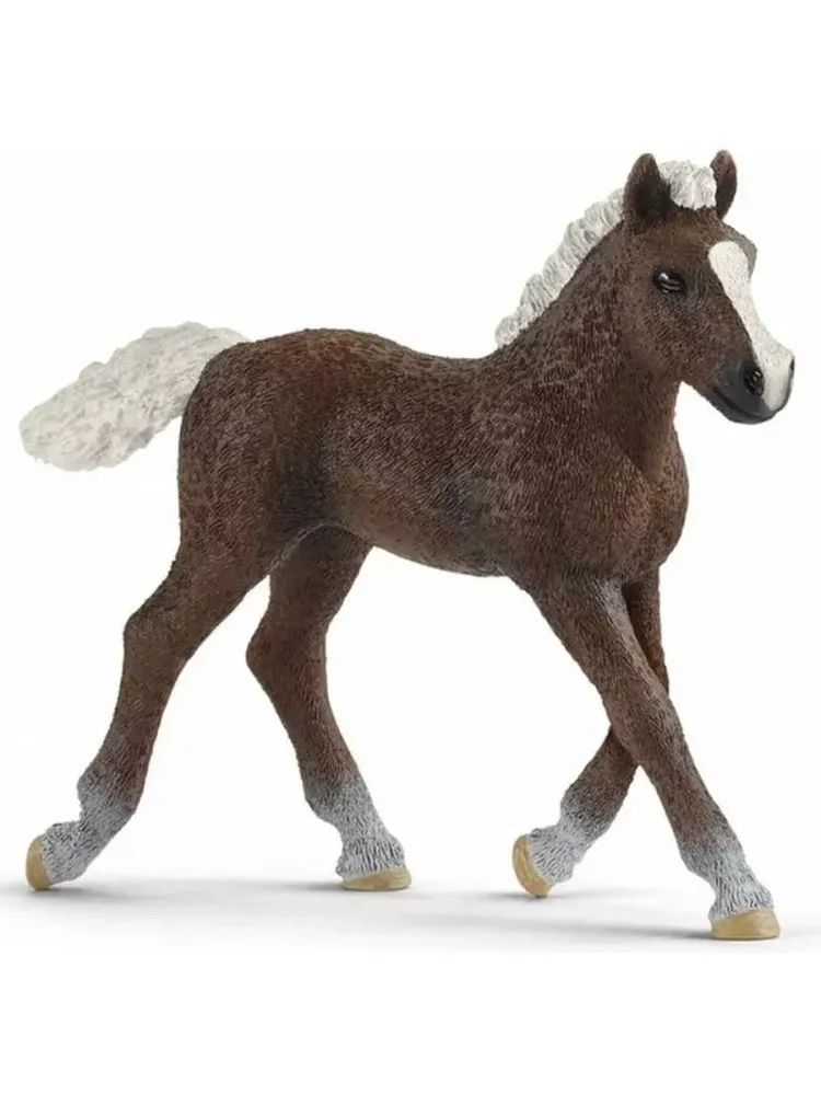 Фигурка Шварцвальдский Жеребенок Schleich 13899