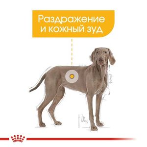 Корм для собак, Royal Canin Maxi Dermacomfort, при раздражениях и зуде, связанных с чувствительностью кожи