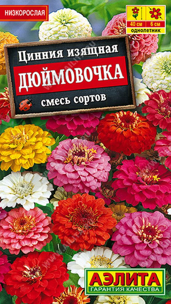 Цинния "G. Дюймовочка" 0.3г., Россия. Цинния "G. Дюймовочка" 0.3г., Россия.