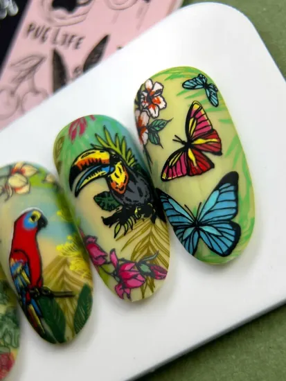 Пластина для стемпинга Enigmanic Stamping №026