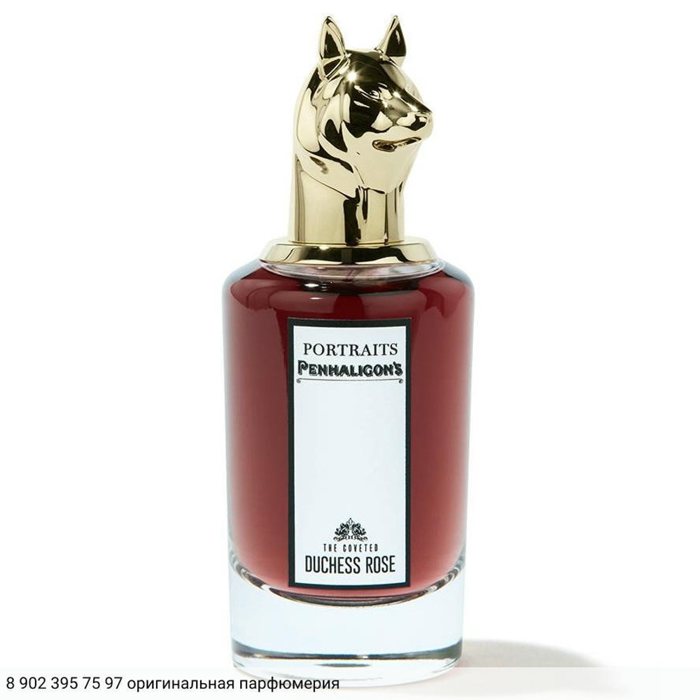 The Coveted Duchess Rose