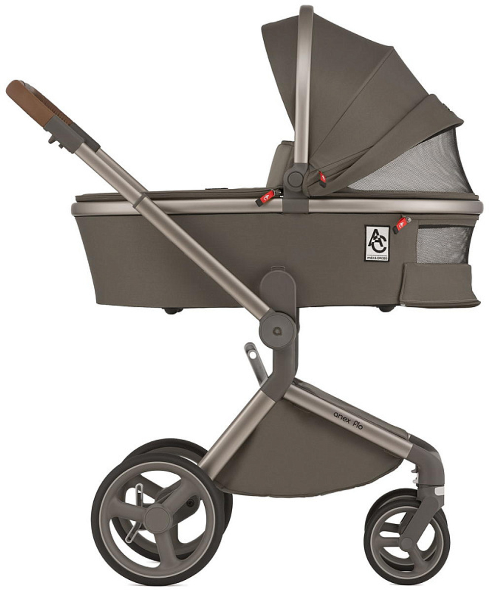 Детская коляска Anex Flo 2 в 1 Cesar