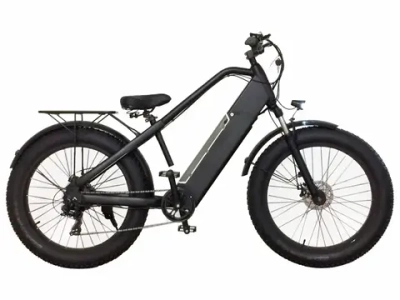 Электрофэтбайк Dakar Trail 500W