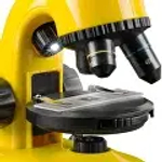 Микроскоп Bresser National Geographic 40x-800x с держателем для смартфона
